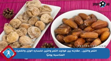 التمر والتين.. مقارنة بين فوائد التمر والتين لخسارة الوزن والكميات المناسبة يوميًا